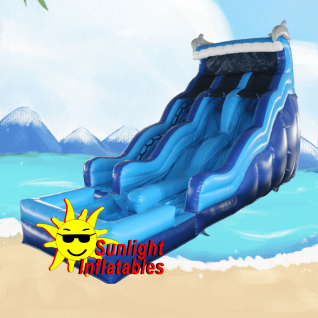 18ft Dual Lane Dolphin Water Slide
